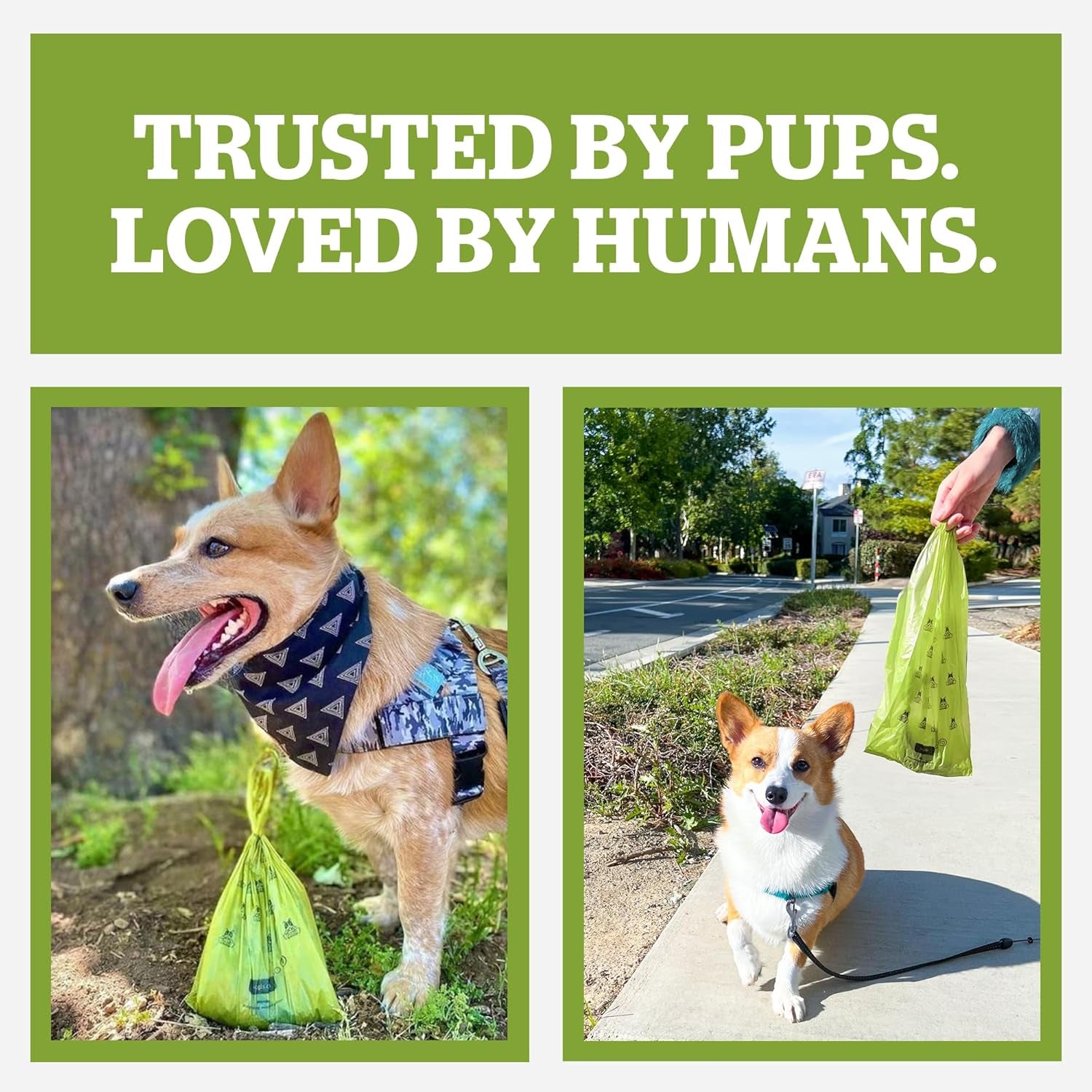 Pogi’s Poo-Pickup Pouches: The Ultimate Stink-Stoppers for Your Furry Friend's Business – 300 Superhero Bags Ready to Save the Day!
